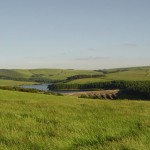Views across the field