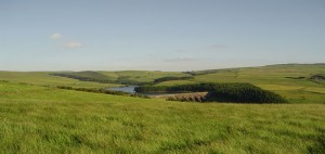 Views across the field